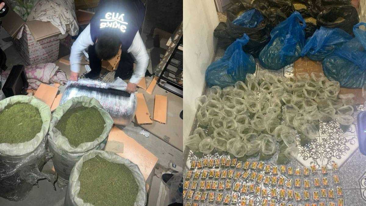 Почти 200 кг марихуаны изъяли в Мангистауской области: перекрыт крупный канал наркосбыта