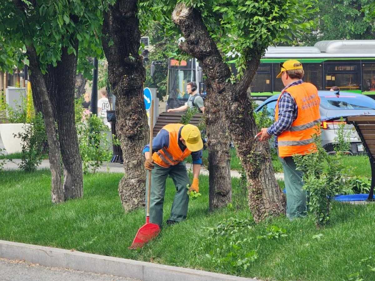 Экологическая акция «Зелёный двор»: жители Алматы высадили сотни деревьев и кустарников