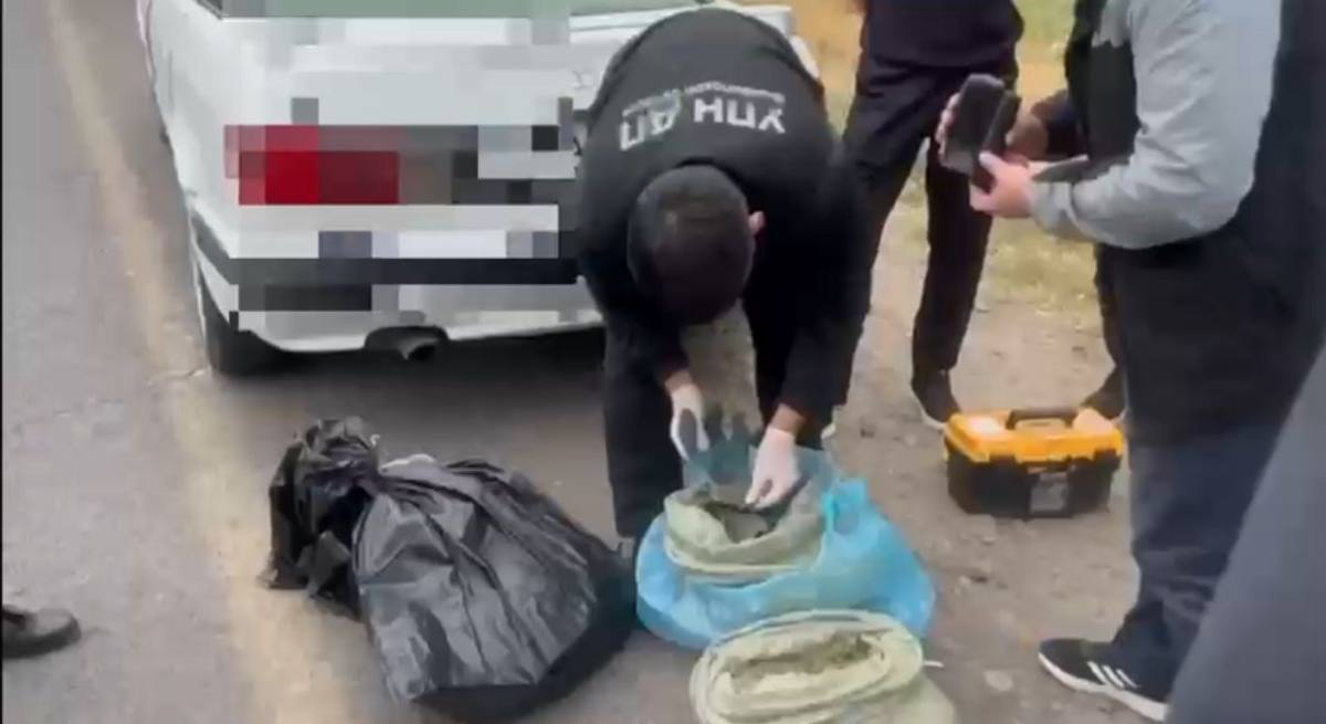 Перевозчиков крупной партии марихуаны задержали в Жамбылской области