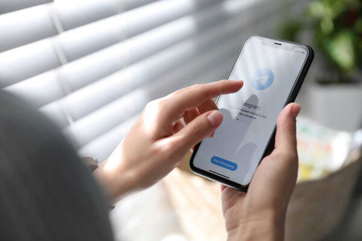 Telegram-канал «Дайвинчик знакомства» могут заблокировать в Казахстане