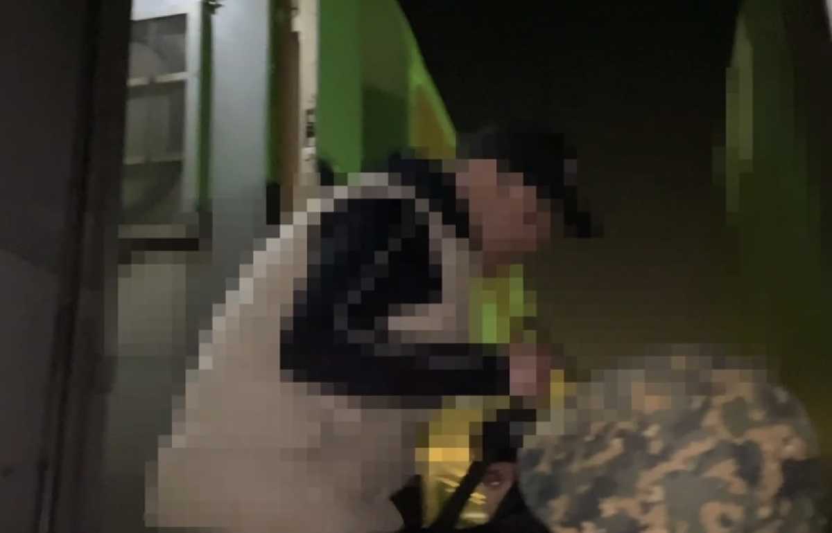 Незаконная регистрация грузовиков: соучастника ОПГ экстрадировали из России в Казахстан