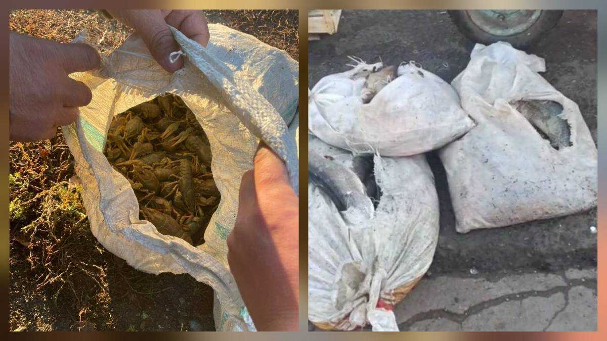 Мешки с раками и рыбой: очередных браконьеров выявили в ЗКО