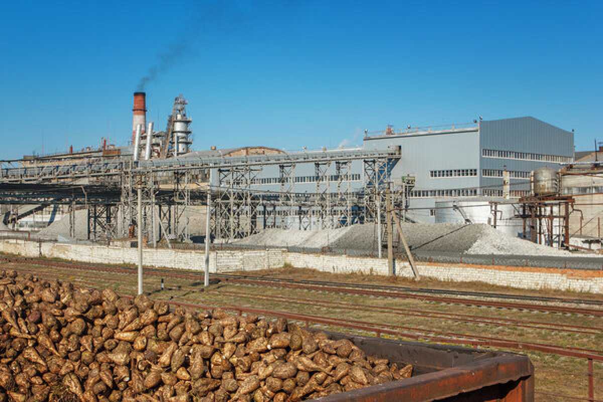 Крупнейший в Казахстане сахарный завод построят в Алматинской области