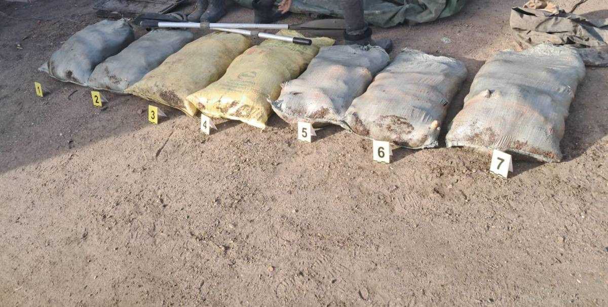 Почти 300 кг рыбы изъяли у браконьеров в Павлодарской области