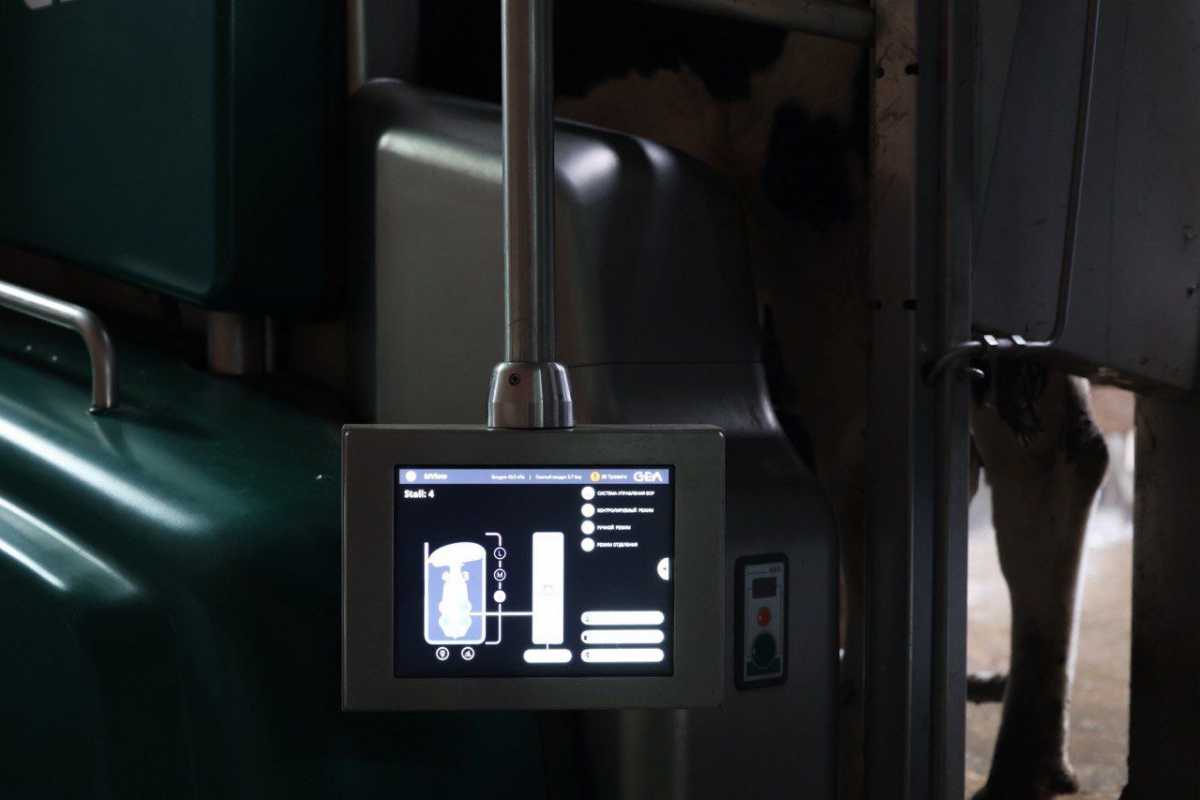 Цифровая ферма в сердце Акмолинской области: в Аккольском районе появились роботы-дояры