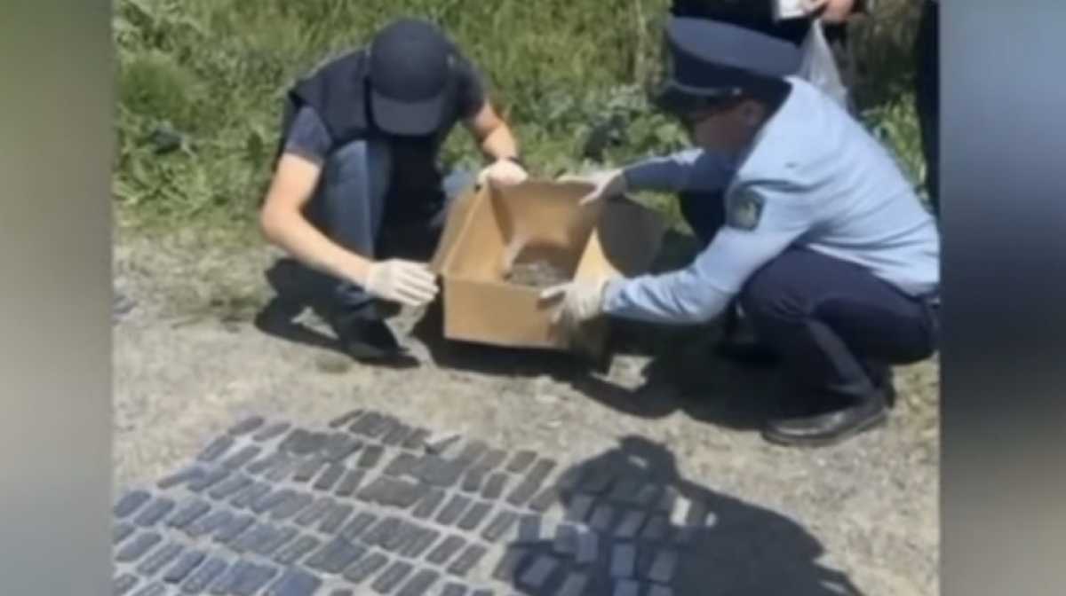 Почти тонну наркотиков изъяли в Туркестанской области