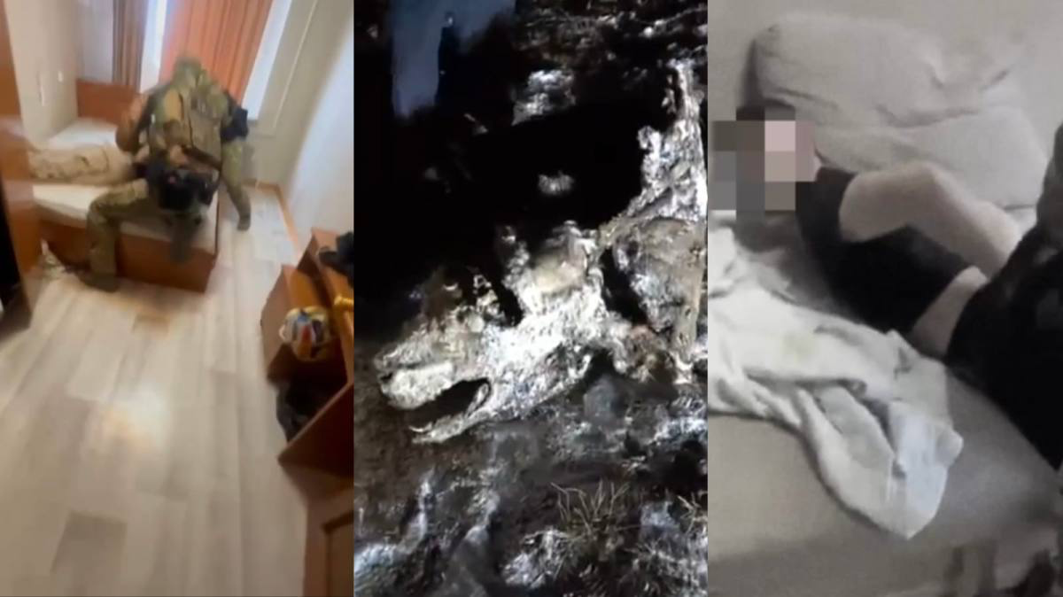 Скотокрадов задержали в Улытауской области