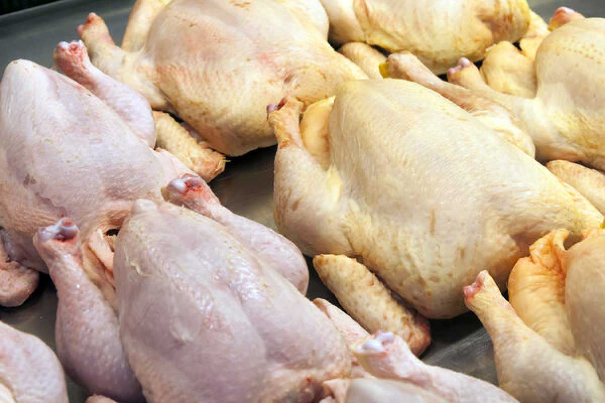 20 тонн мяса птицы незаконно пытались ввезти в Казахстан из России