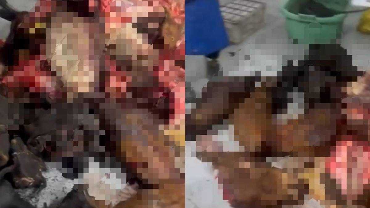 Три тонны мяса изъяли из подпольного цеха в Астане