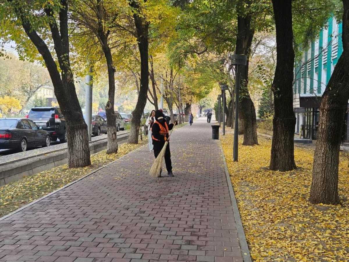 Алматы усиливает экологические меры в рамках программы «Таза Қазақстан»
