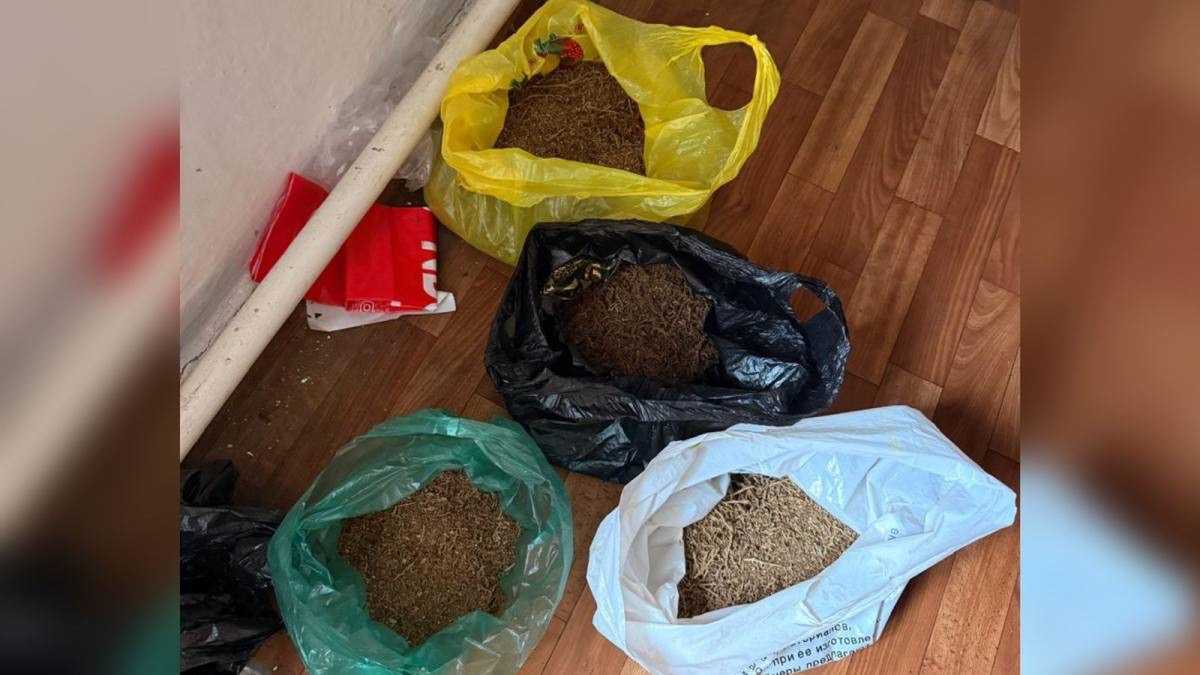 Крупную партию марихуаны изъяли в Акмолинской области