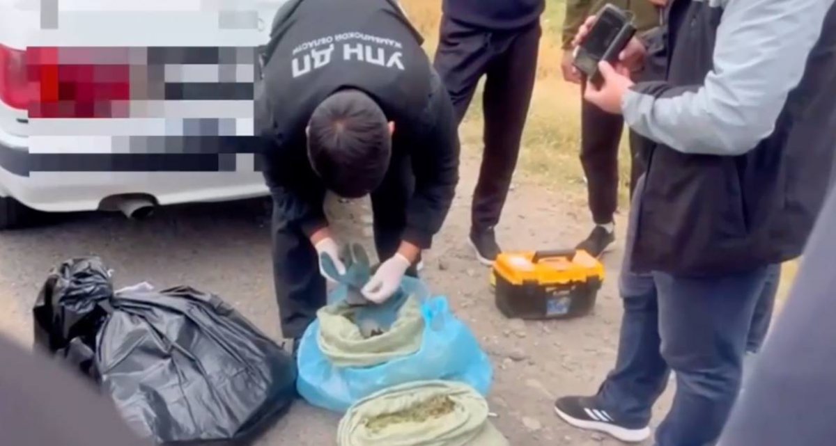 16 каналов поставки наркотиков перекрыли в Жамбылской области