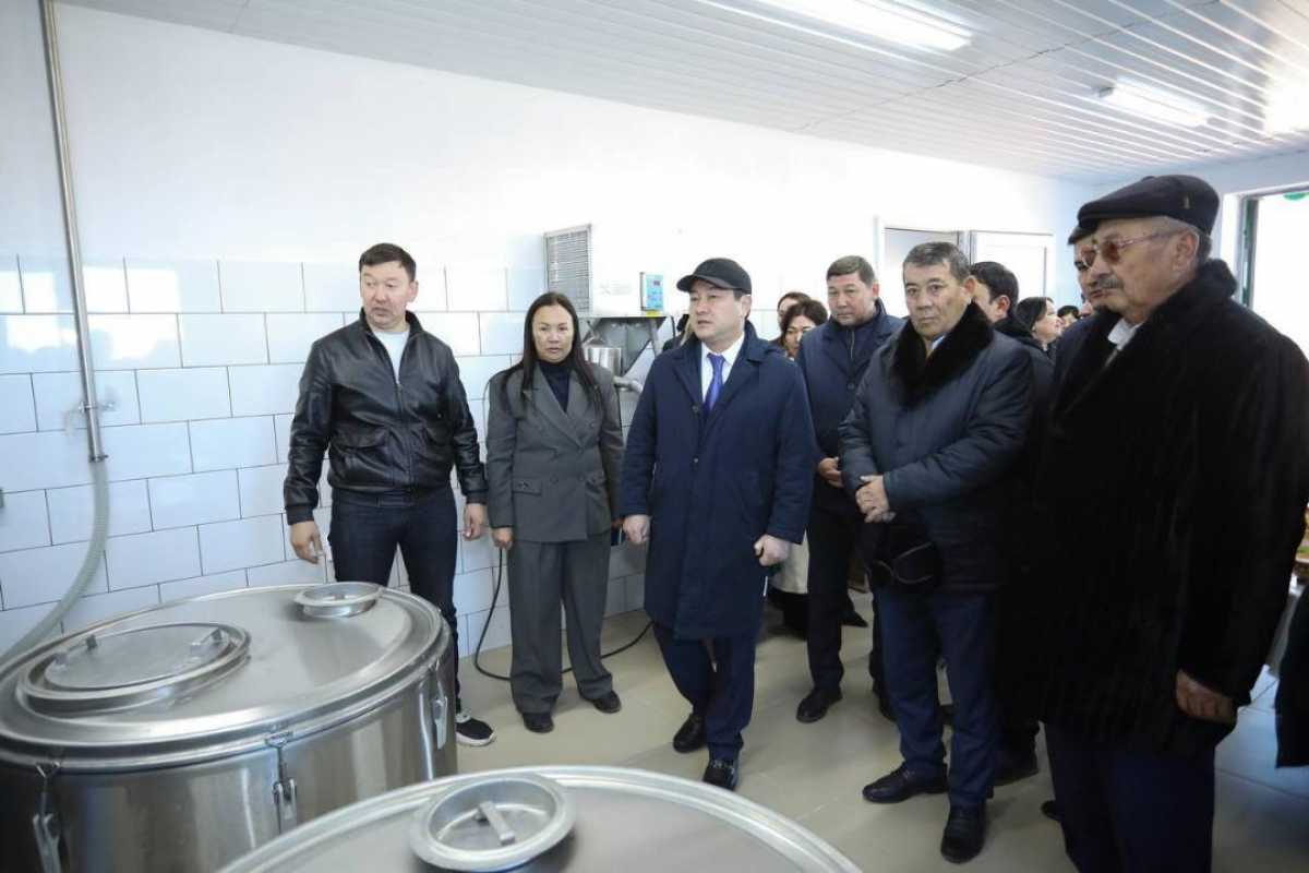 Нурдаулет Килыбай ознакомился с работой первого в Казахстане автоматизированного цеха по доению верблюдов