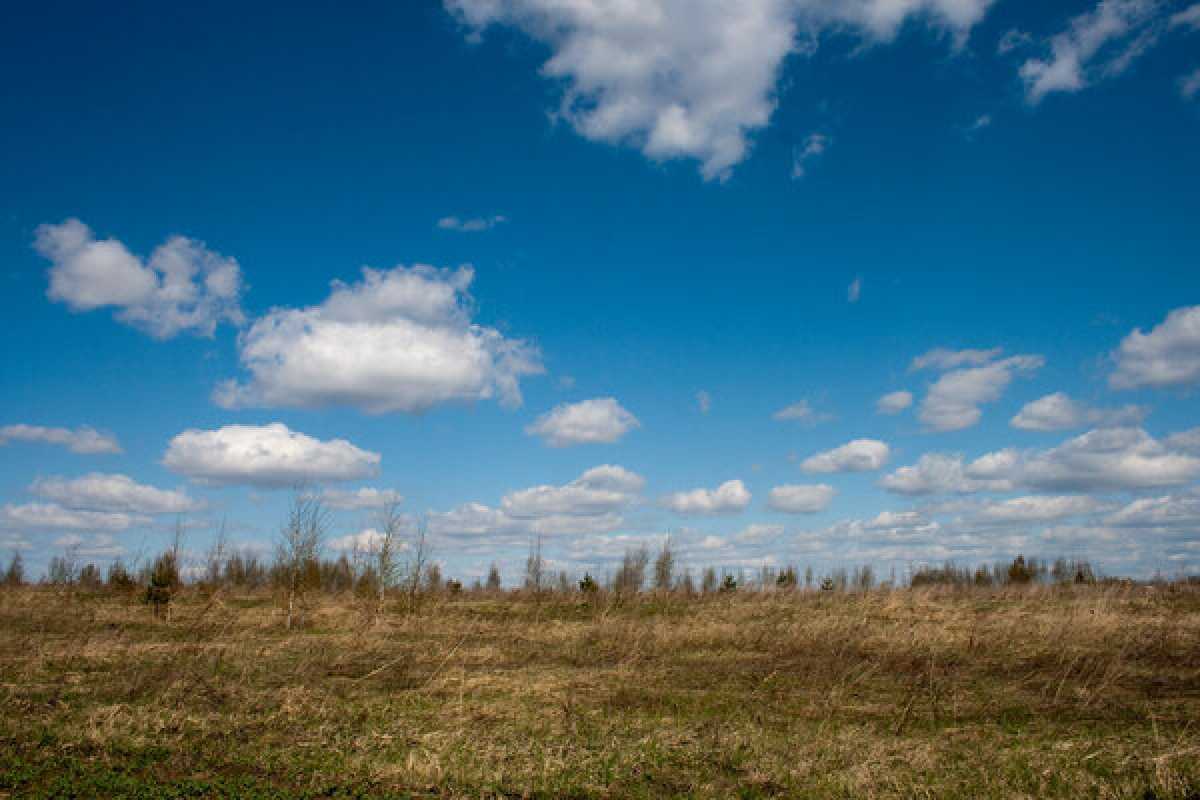 Двух пропавших мужчин нашли в Улытауской области
