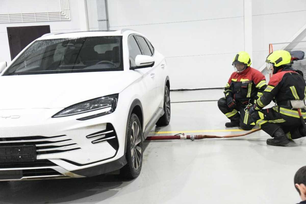 Спасатели Астаны обратились к водителям электромобилей