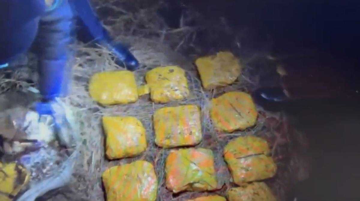 Более 12 кг мефедрона изъяли в Акмолинской области: задержан мужчина