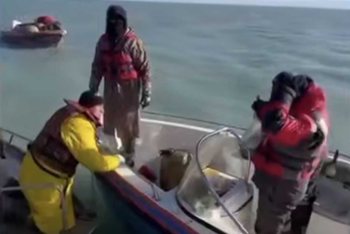 Искали всю ночь: трёх пропавших рыбаков спасли на озере Балхаш