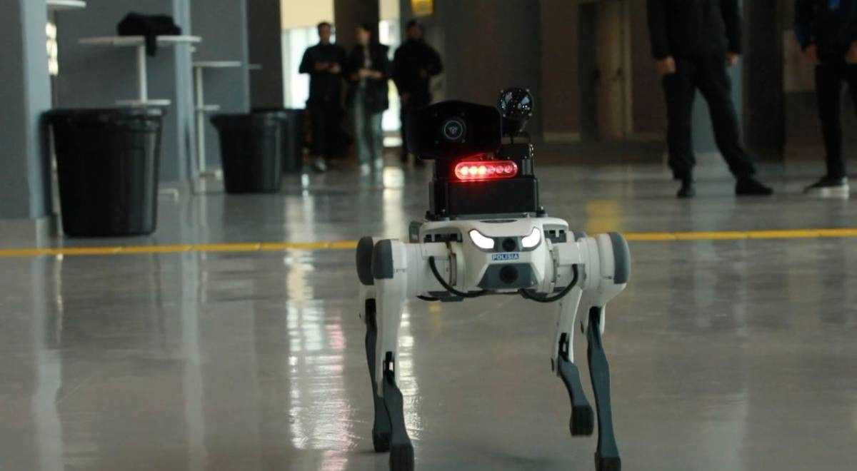 Четвероногие роботы следят за порядком в Астане