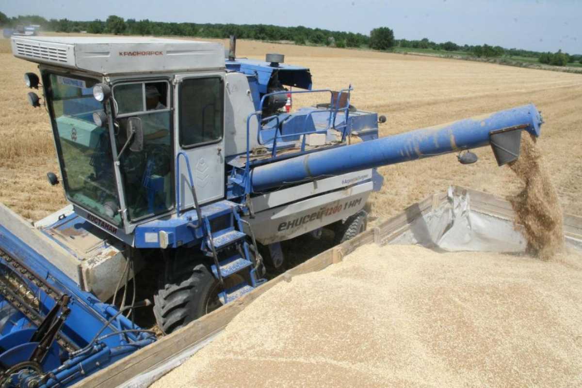 В Казахстане отмечен рост валовой продукции сельского хозяйства на 5,4%