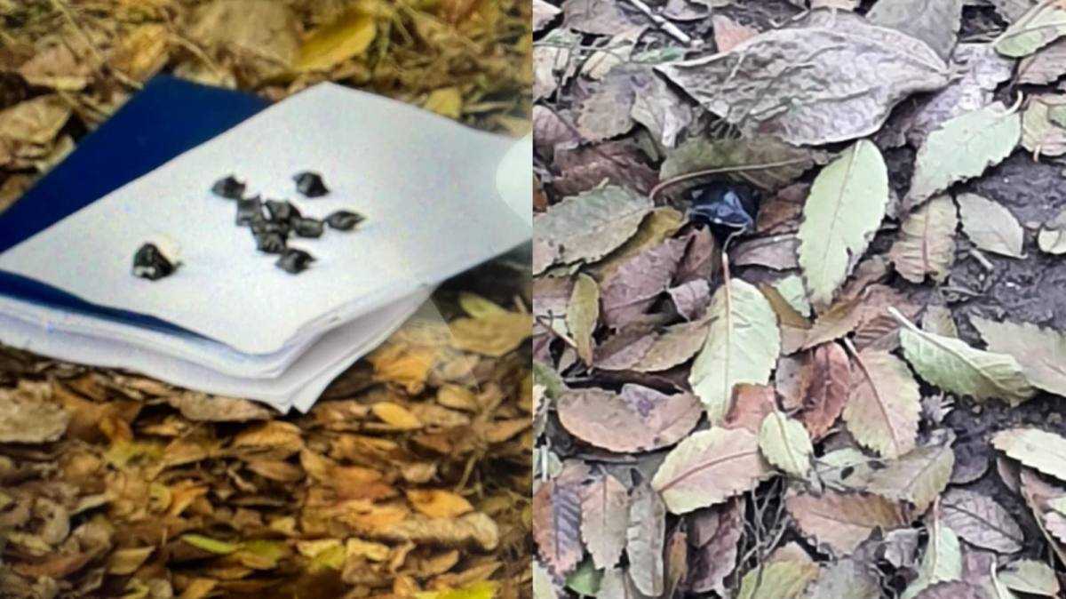 18-летнего парня, подозреваемого в сбыте наркотиков, задержали в Уральске