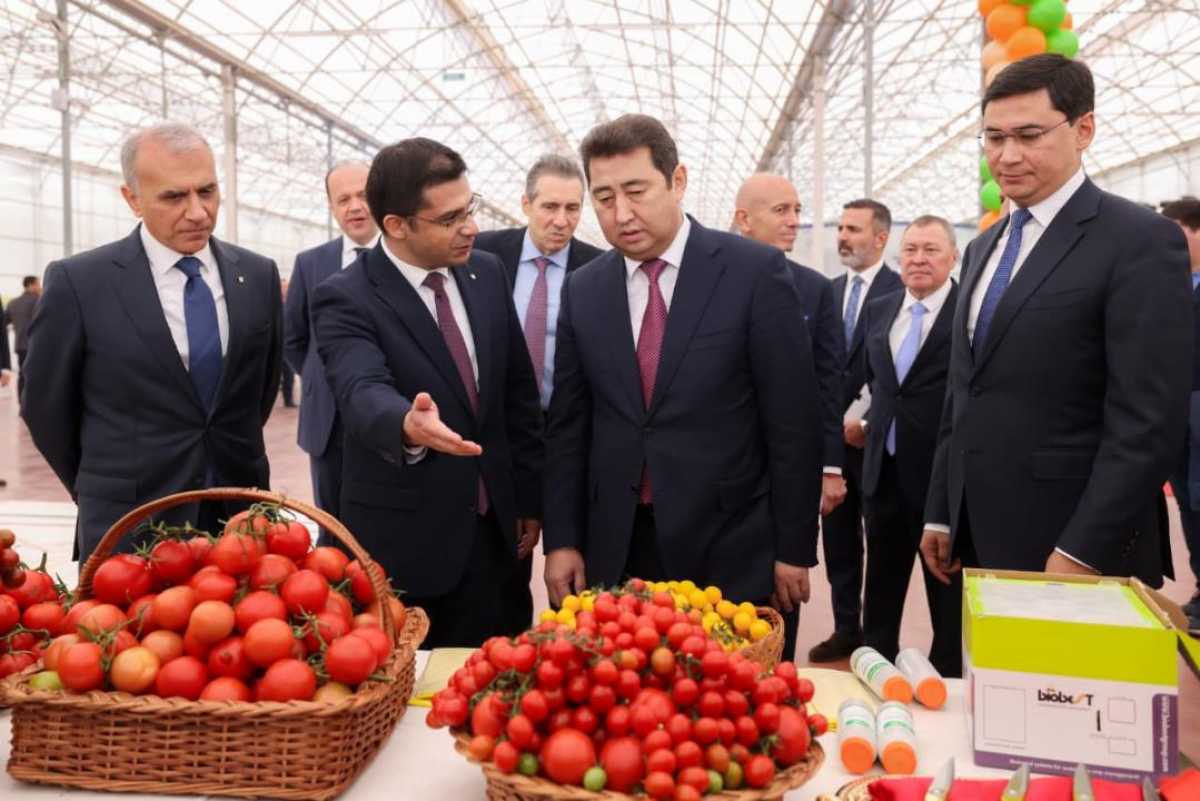Турецко-казахстанский прорыв в агросекторе: Запуск теплиц в Шымкенте с агроакадемическим центром