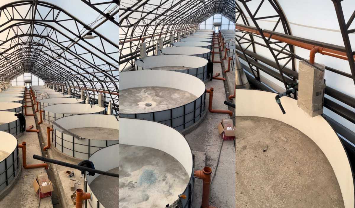 В Восточно-Казахстанской области построят рыбоводческий комплекс стоимостью 348 млн тенге