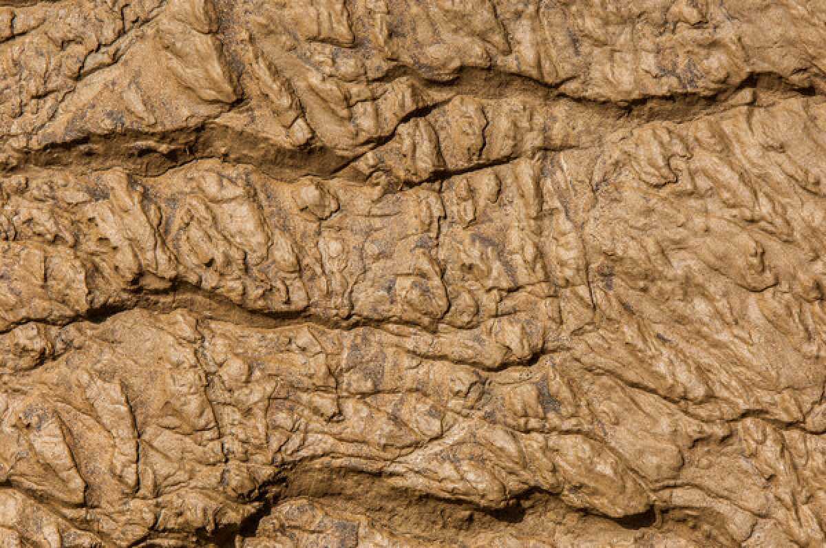 Глину на 795 млн тг похитили в Костанайской области