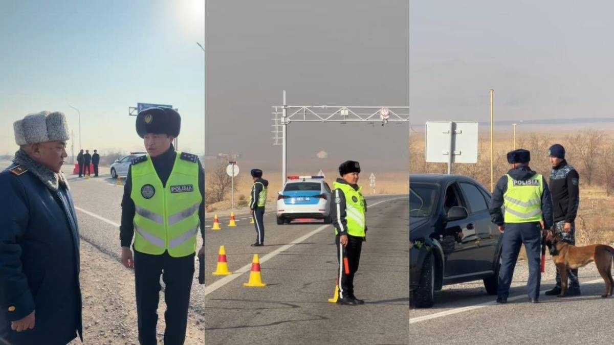 В Жамбылской области усиливают меры по снижению аварийности на дорогах