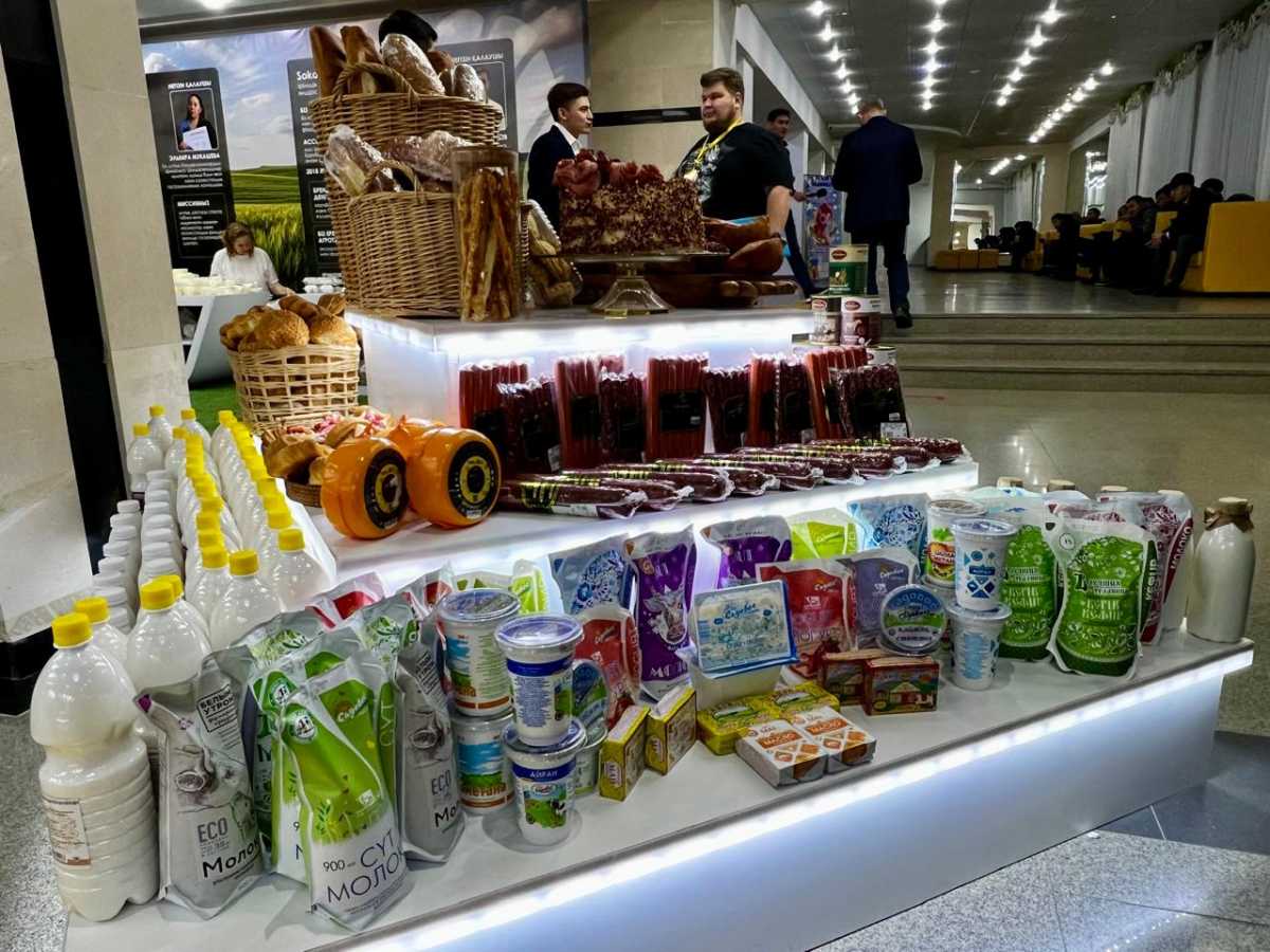 Пилот по внедрению искусственного интеллекта оцифровал 28 аграрных хозяйств в Акмолинской области