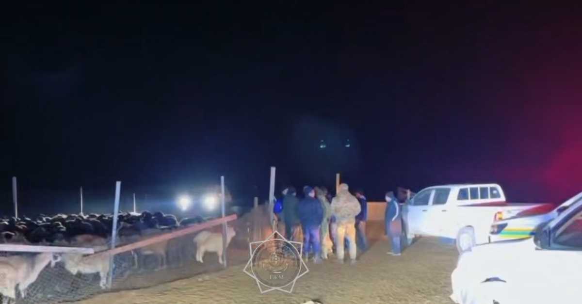 Выехал на пастбище и не вернулся: заблудившегося мужчину нашли в 12 км от хозяйства в Атырауской области