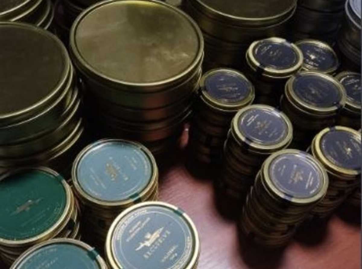 Без маркировки и документов: мясо утки и икру пытались незаконно ввезти в Казахстан из Кыргызстана