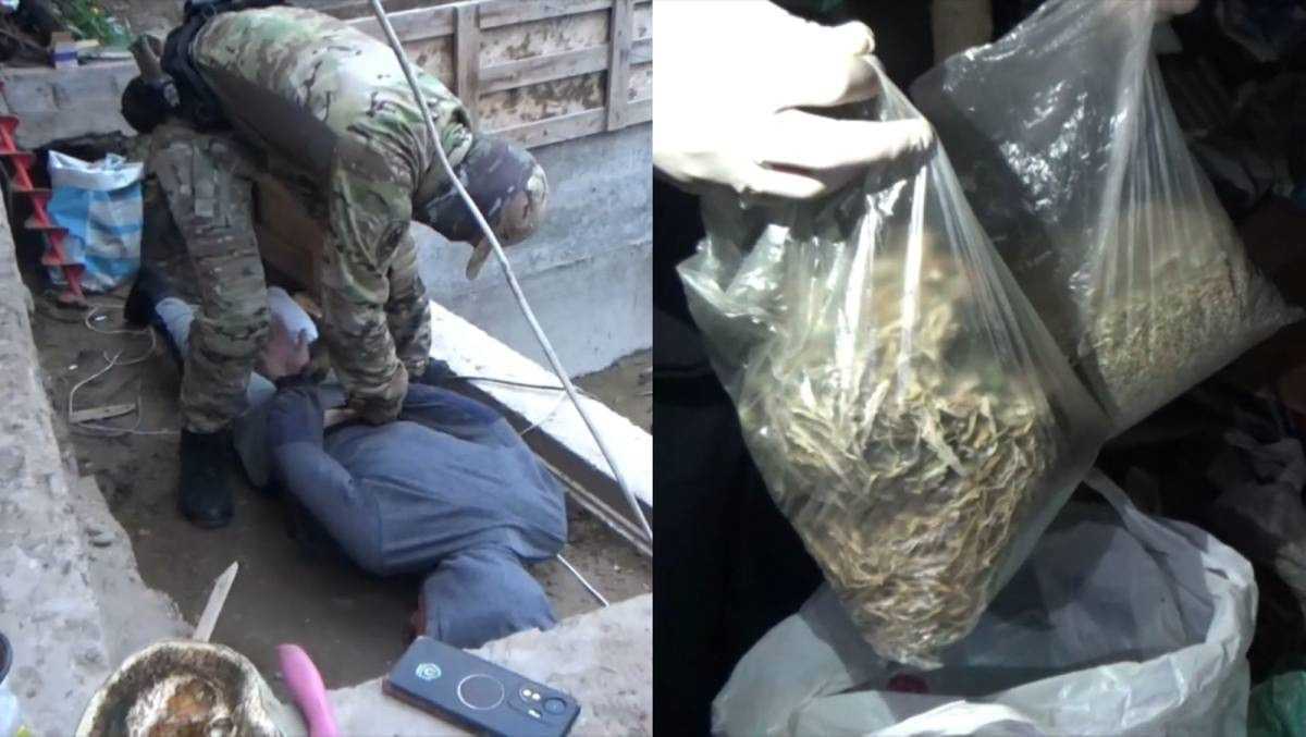 Более 32 кг конопли изъяли у жителя Семея