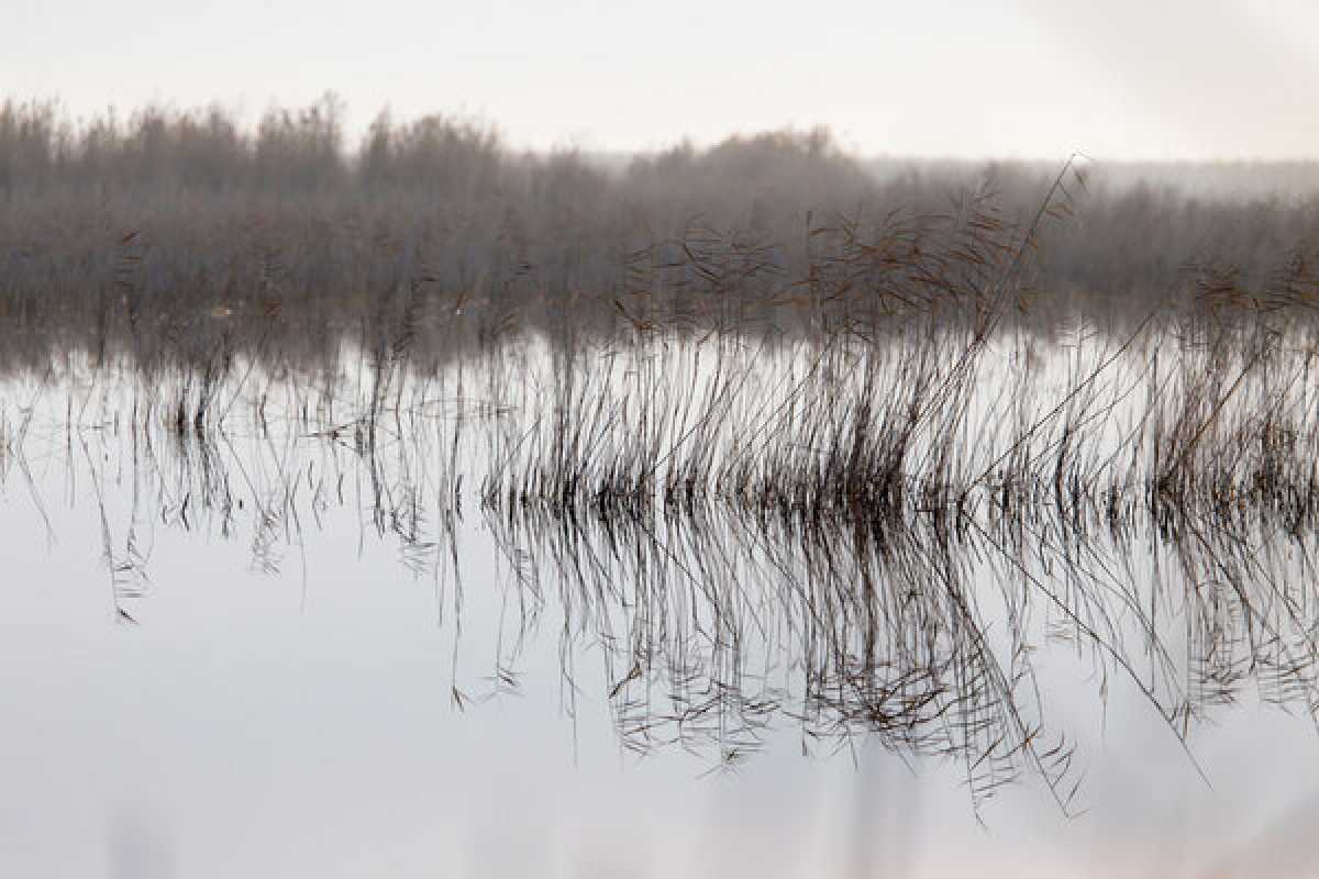 Тела подростка и мужчины обнаружили в Актобе