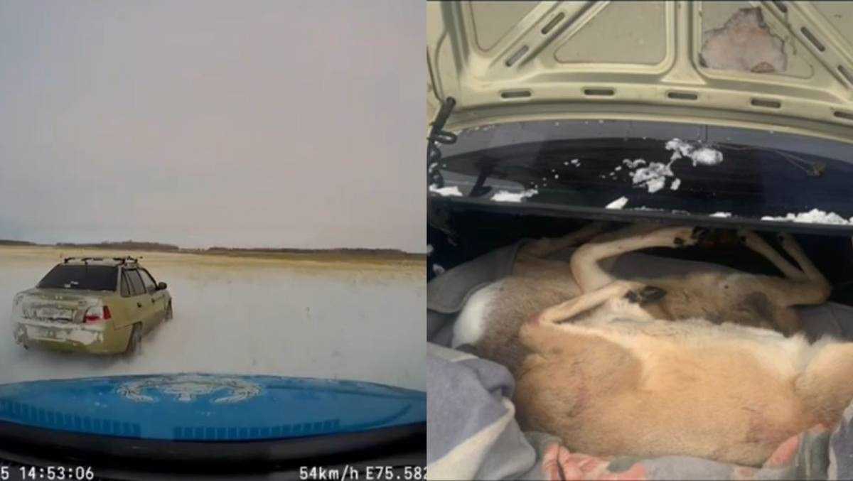 В Павлодарской области задержали подозреваемых в незаконной охоте