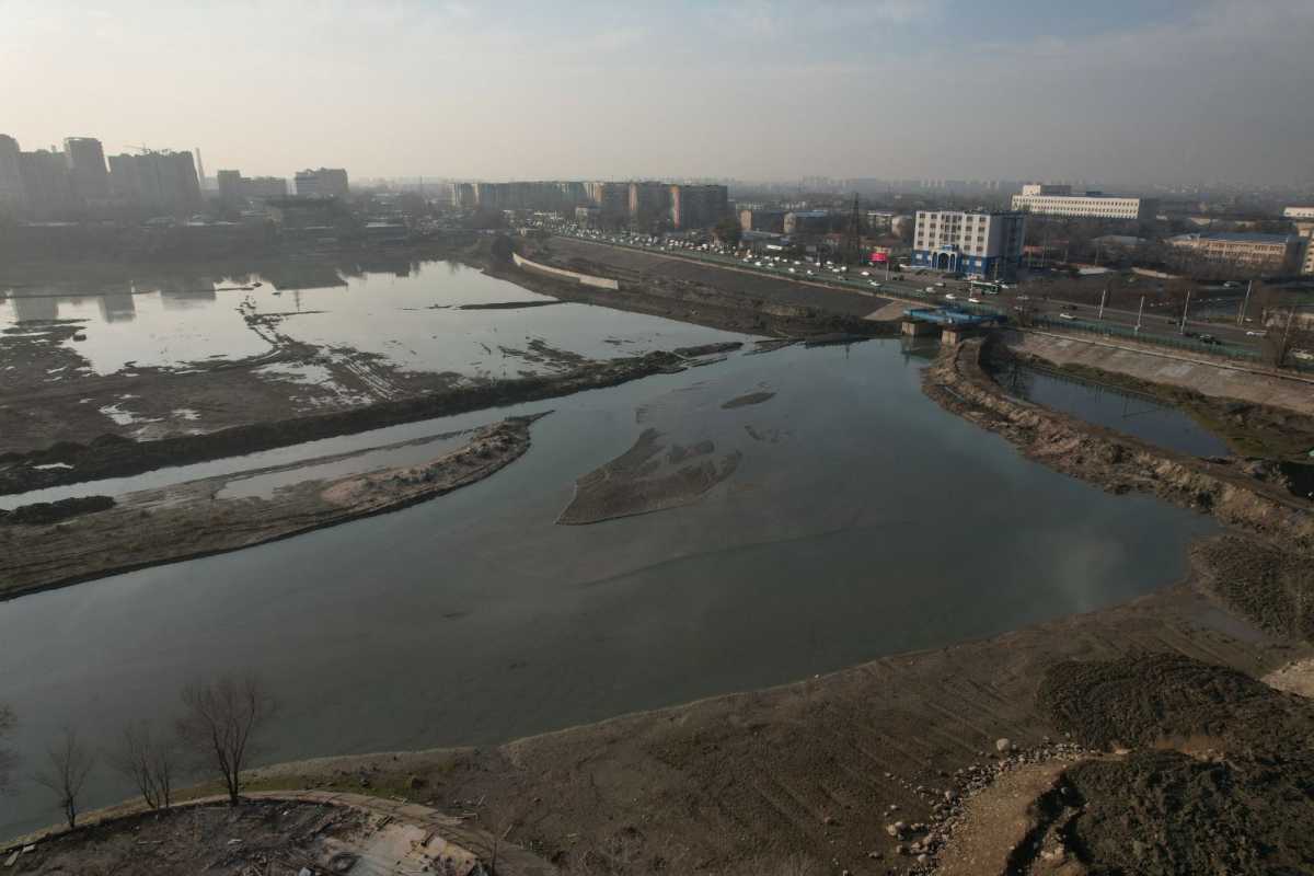 Консервацию мостов и утепление водных растений провели на озере Сайран в Алматы