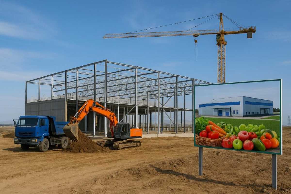 Завод по глубокой переработке 70 тыс тонн овощей и фруктов строят в Алматинской области