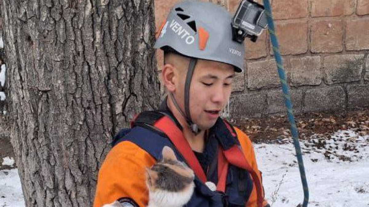 Необычная спасательная операция развернулась во дворе пятиэтажки в Семее