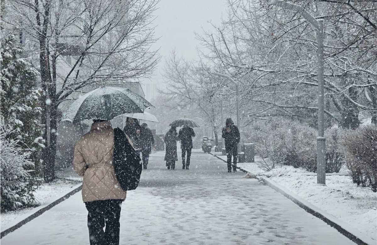Какая погода ожидается в Астане, Алматы и Шымкенте 10–12 декабря