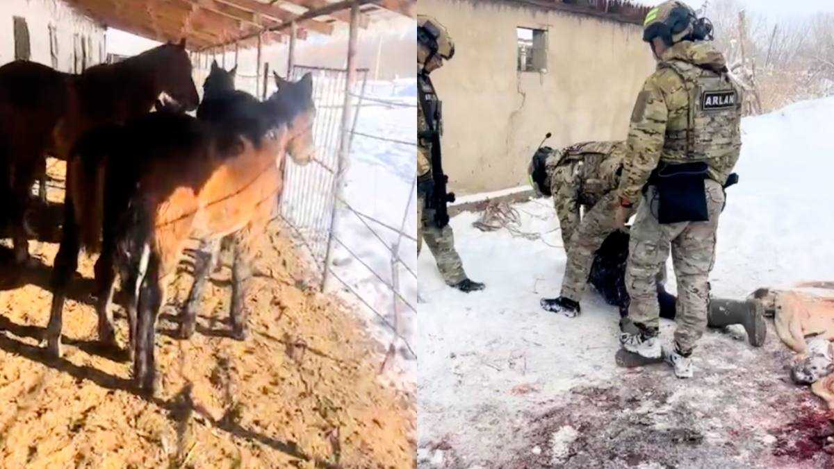 Спецоперация в Жетысуской области: полицейские задержали банду барымтачей