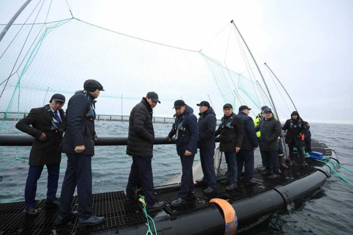 В Мангистау реализуется первый в Центральной Азии проект морской аквакультуры
