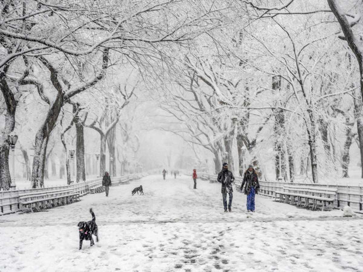 Циклон сохранит влияние на Казахстан: ожидаются снег, метели и сильный ветер