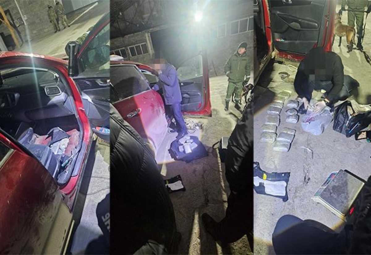 В Жамбылской области пресекли попытку провоза более 30 кг наркотиков через госграницу: задержан иностранец