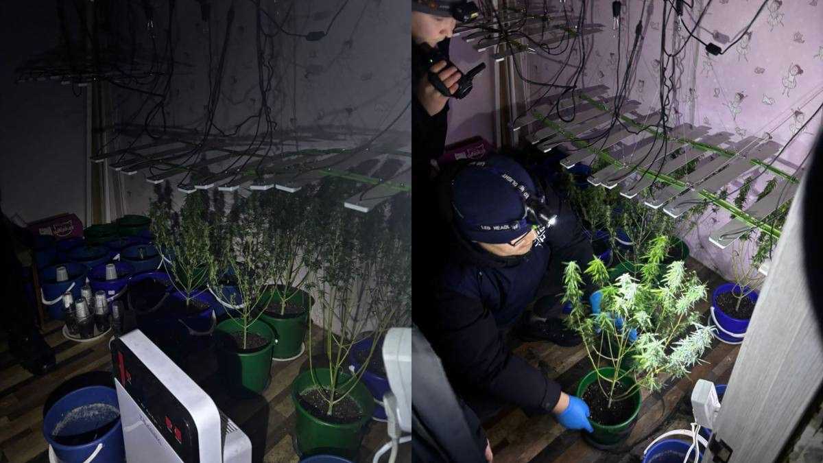 Нарколабораторию обнаружили в квартире жителя Уральска
