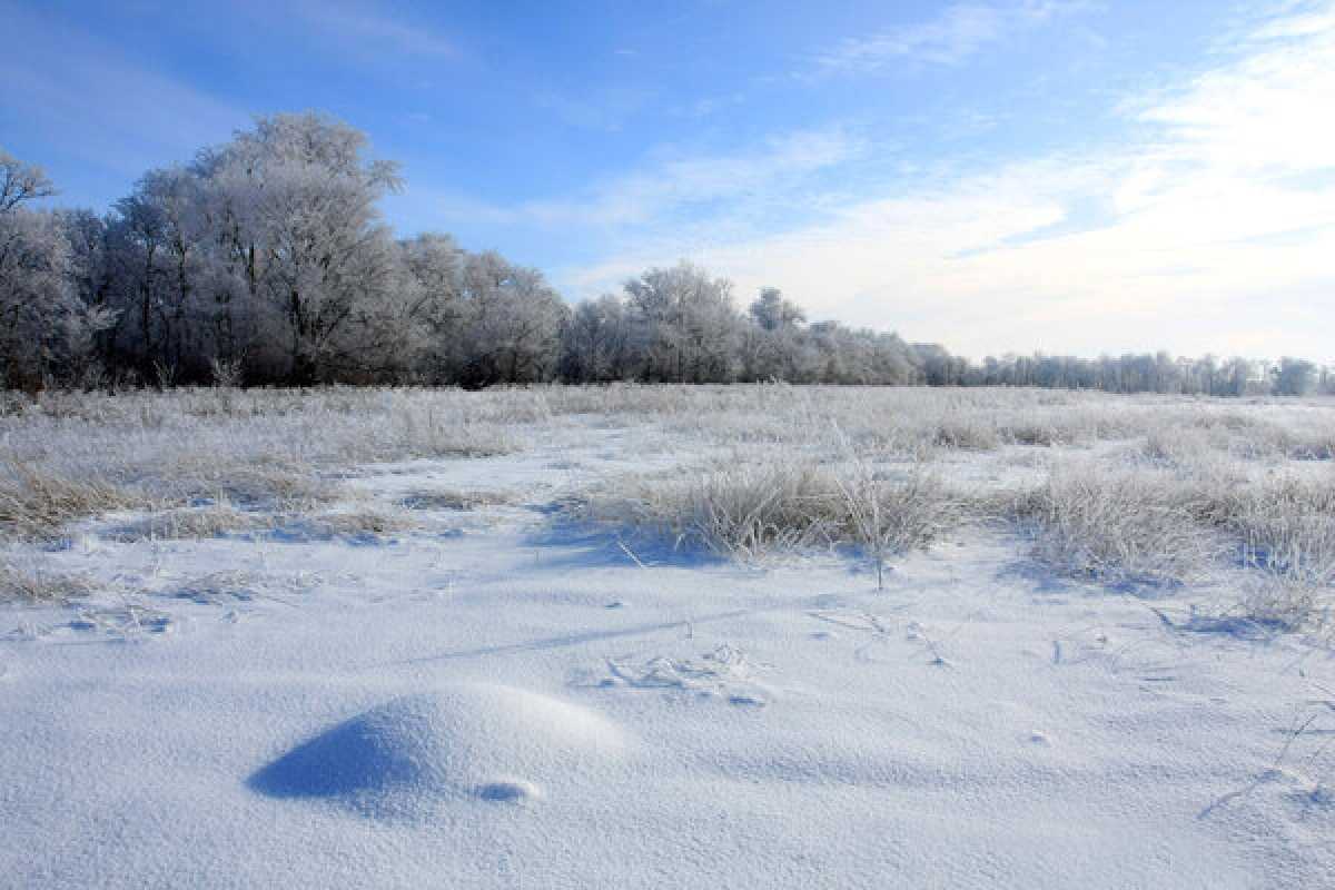 Тело пожилого мужчины обнаружили в автомобиле в Карагандинской области