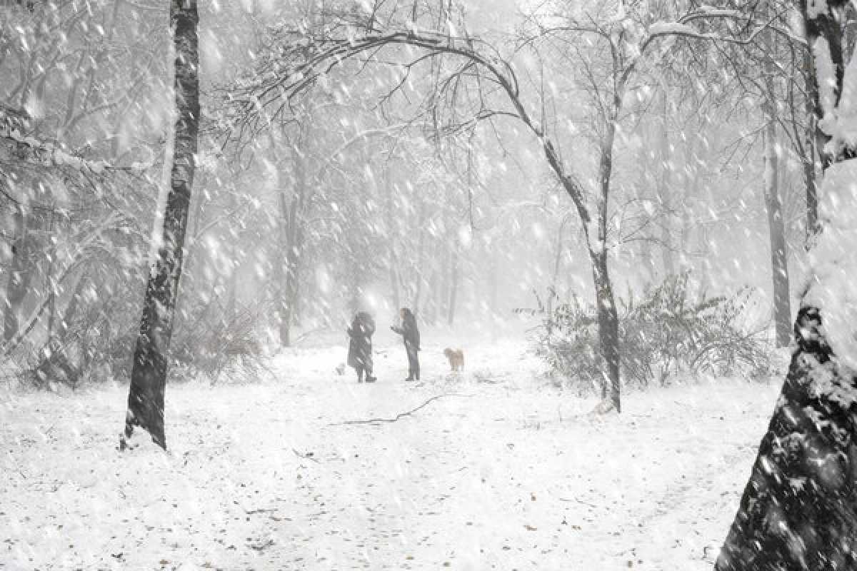 Снег, метели и гололёд: непогода накроет Казахстан в эти выходные