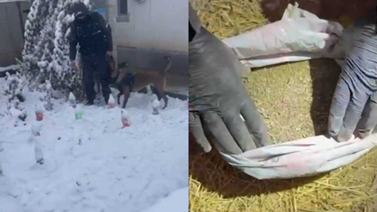 Более 5 кг наркотиков изъяли в ходе спецоперации в Алматы