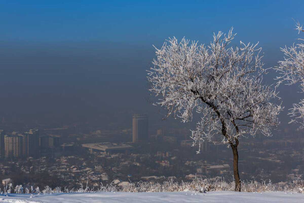 Правила охраны атмосферного воздуха утвердили в Алматы