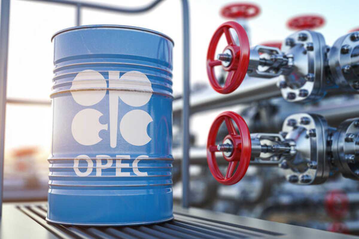 Фонд OPEC направит до 400 млн долларов на проекты в Казахстане