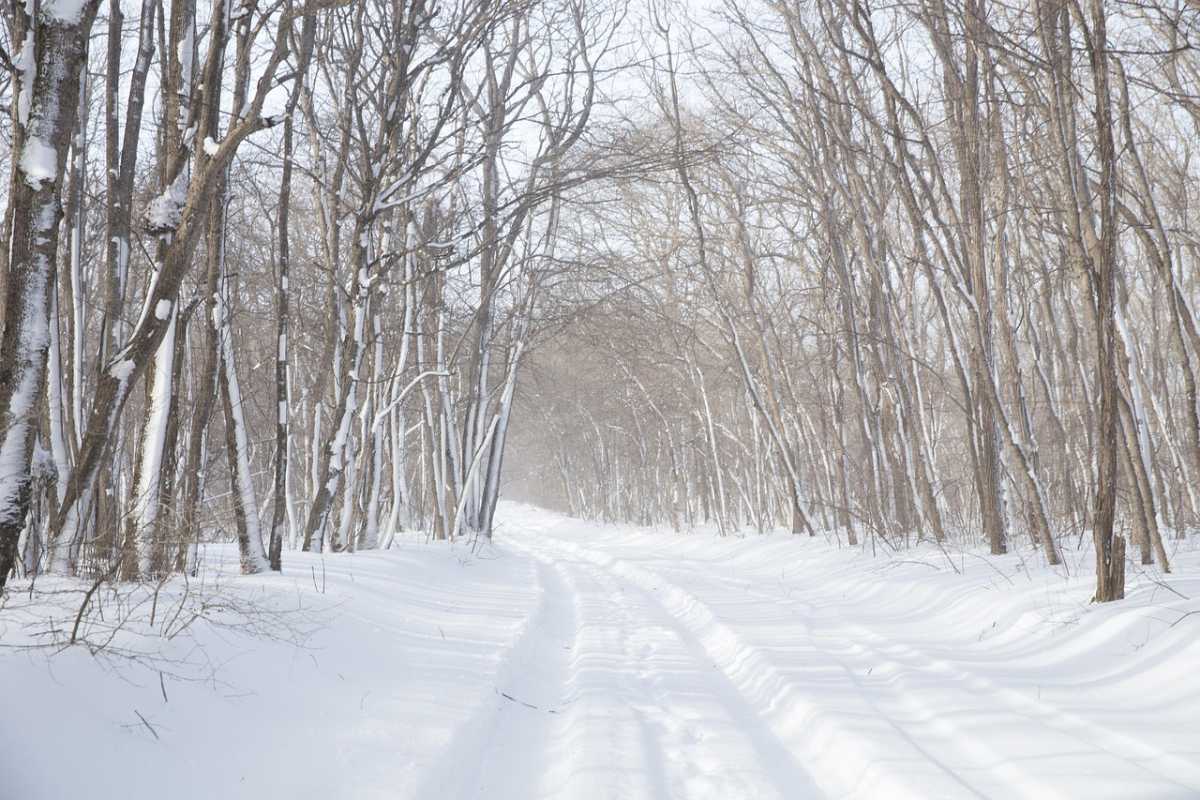 Мощный циклон принесёт в Казахстан метели и сильный ветер