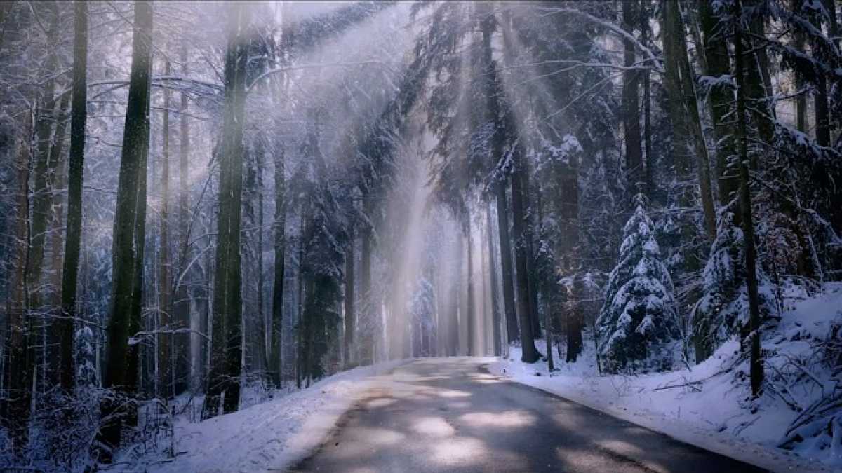 Приметы на 14 декабря 2024 года: День Наума Грамотника – традиции и духовное наследие